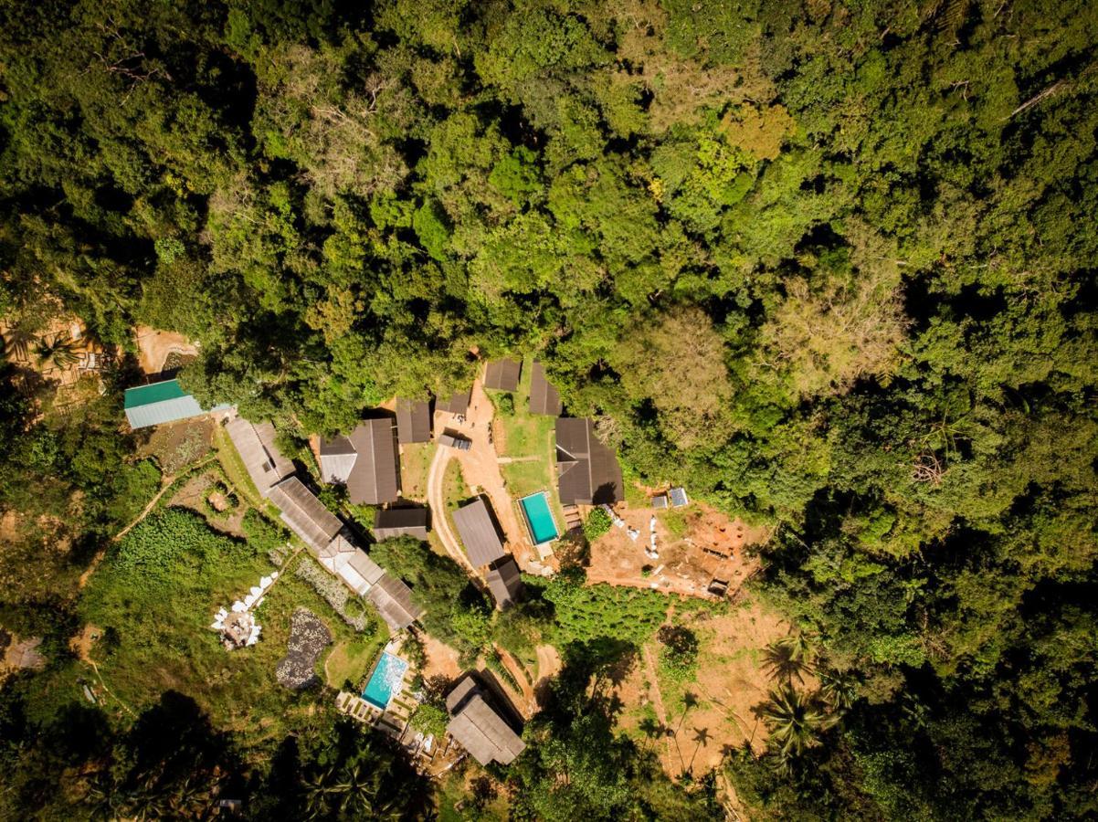 Sinharaja Forest Gate Deniyaya Extérieur photo