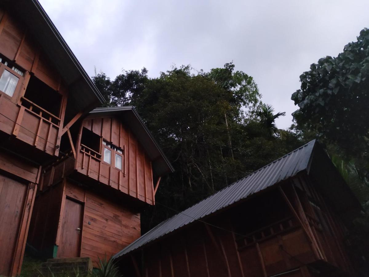 Sinharaja Forest Gate Deniyaya Extérieur photo