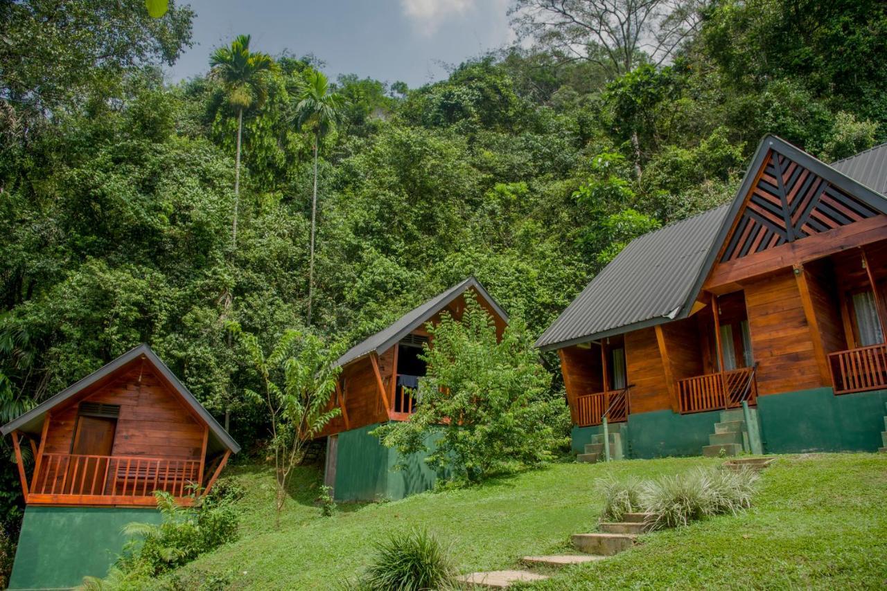 Sinharaja Forest Gate Deniyaya Extérieur photo
