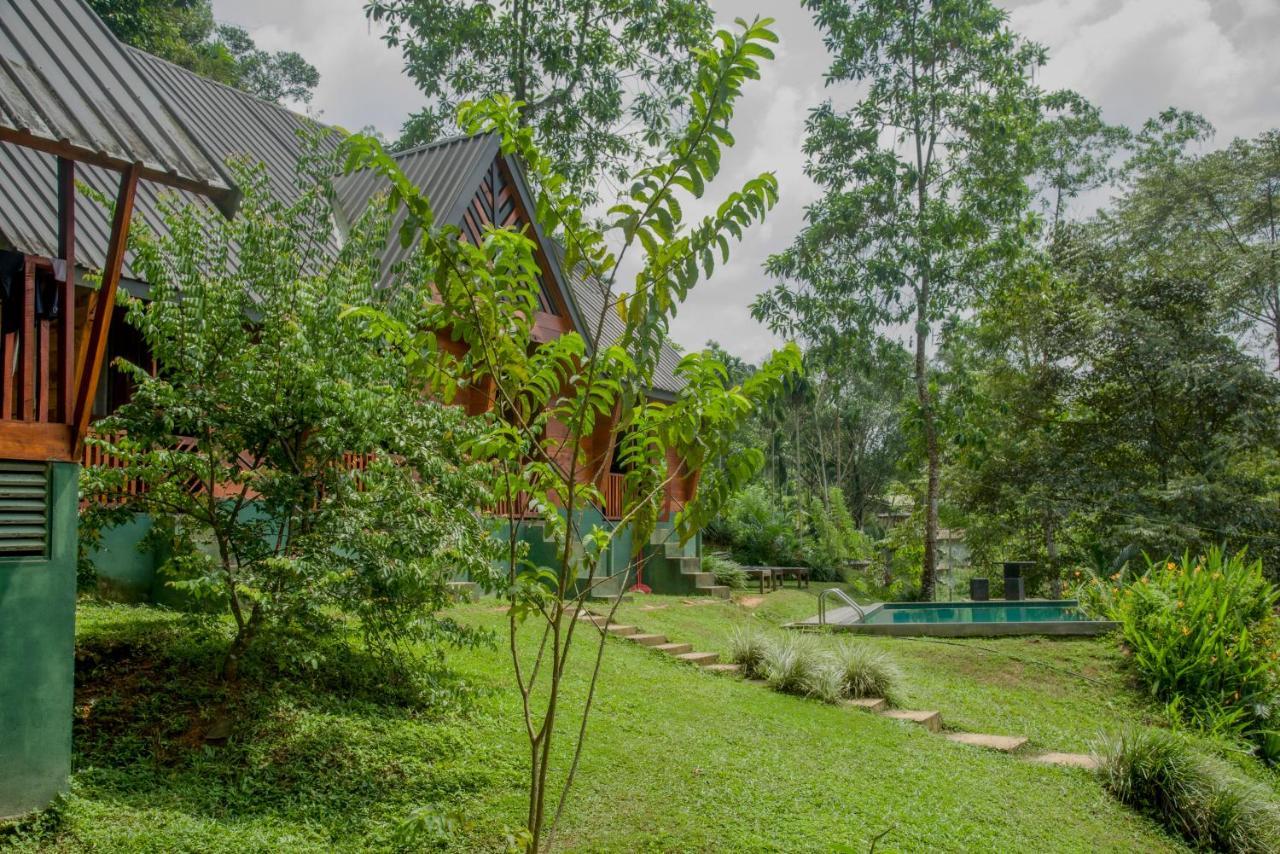 Sinharaja Forest Gate Deniyaya Extérieur photo