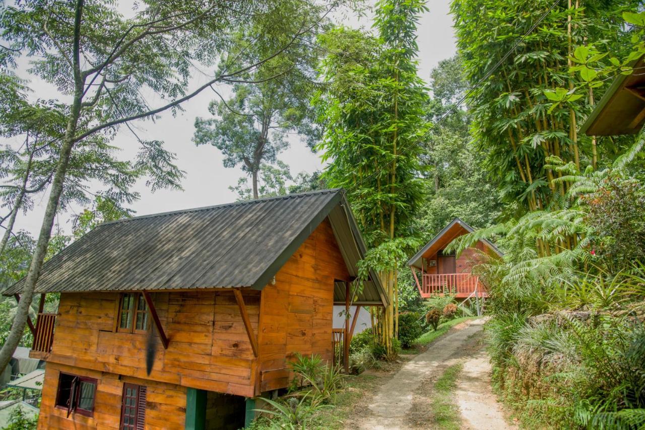 Sinharaja Forest Gate Deniyaya Extérieur photo