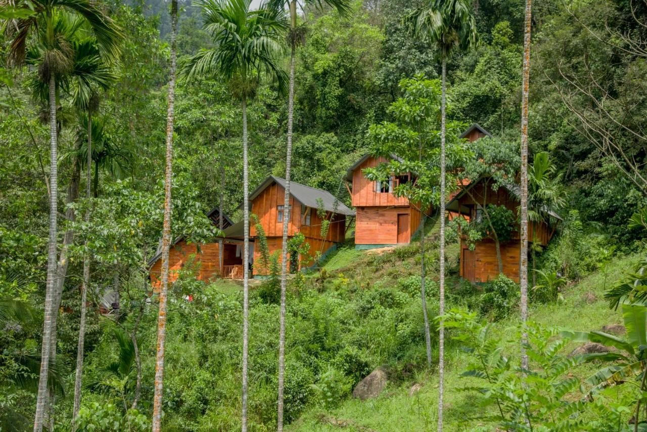 Sinharaja Forest Gate Deniyaya Extérieur photo