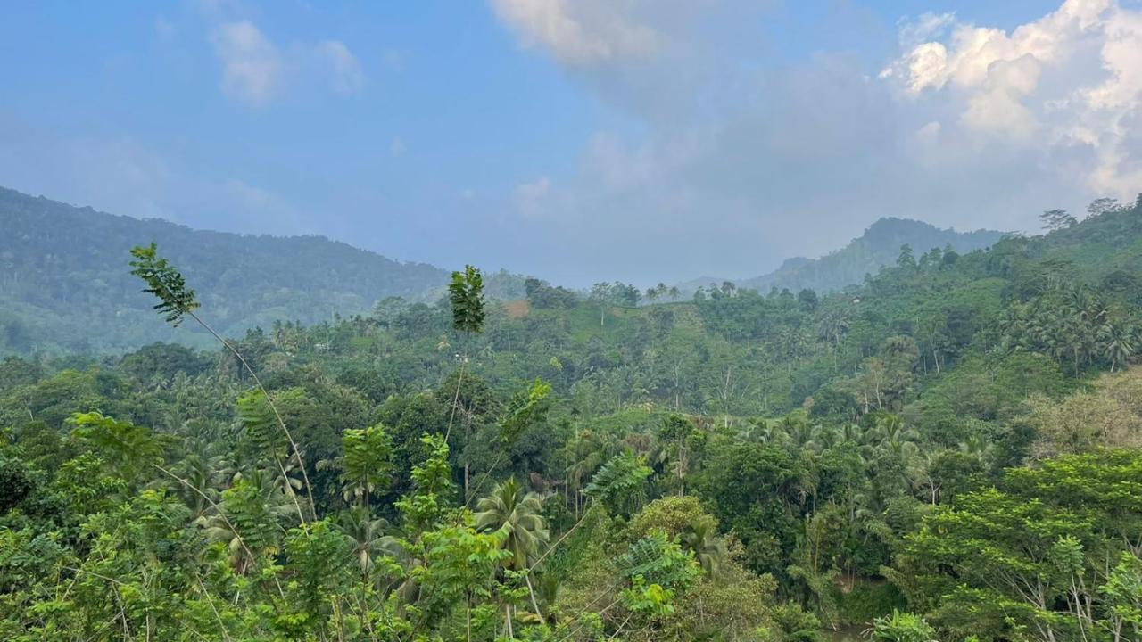 Sinharaja Forest Gate Deniyaya Extérieur photo