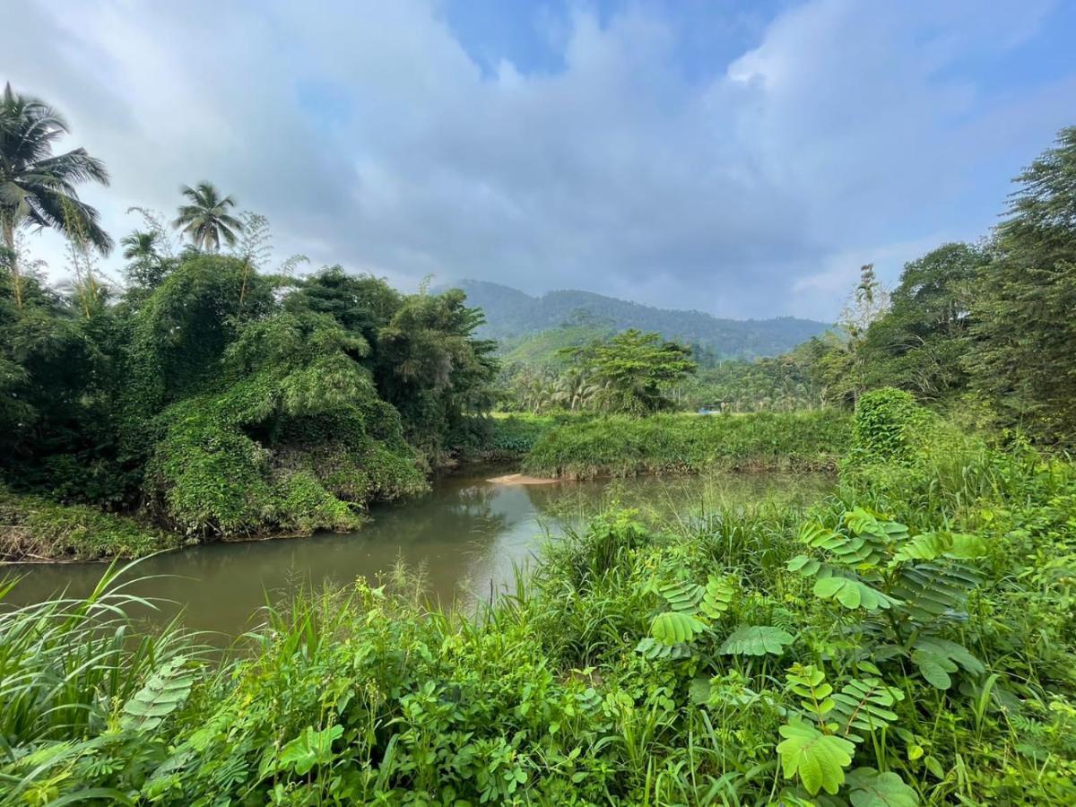 Sinharaja Forest Gate Deniyaya Extérieur photo