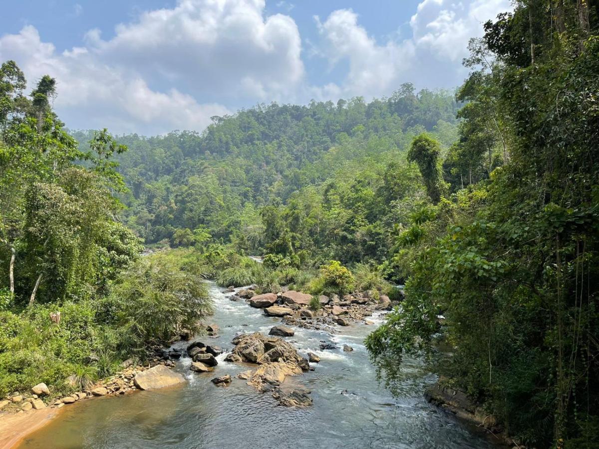 Sinharaja Forest Gate Deniyaya Extérieur photo