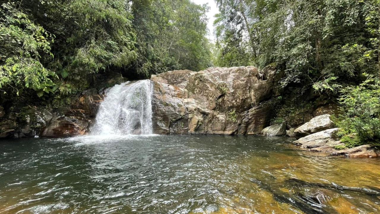Sinharaja Forest Gate Deniyaya Extérieur photo