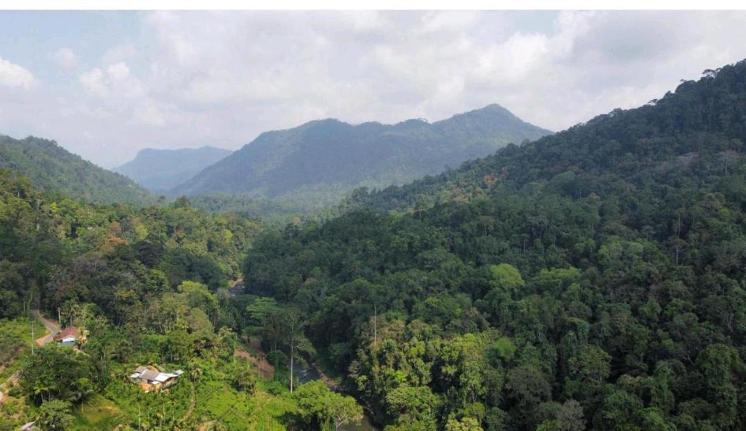 Sinharaja Forest Gate Deniyaya Extérieur photo