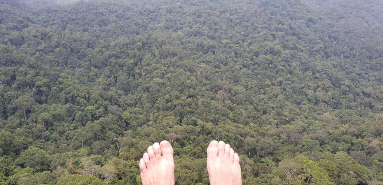 Sinharaja Forest Gate Deniyaya Extérieur photo