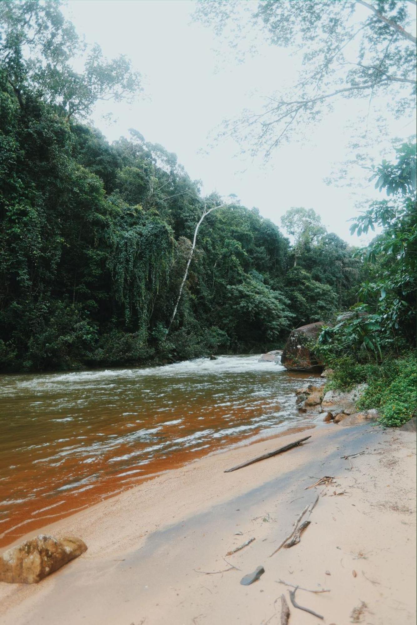Sinharaja Forest Gate Deniyaya Extérieur photo