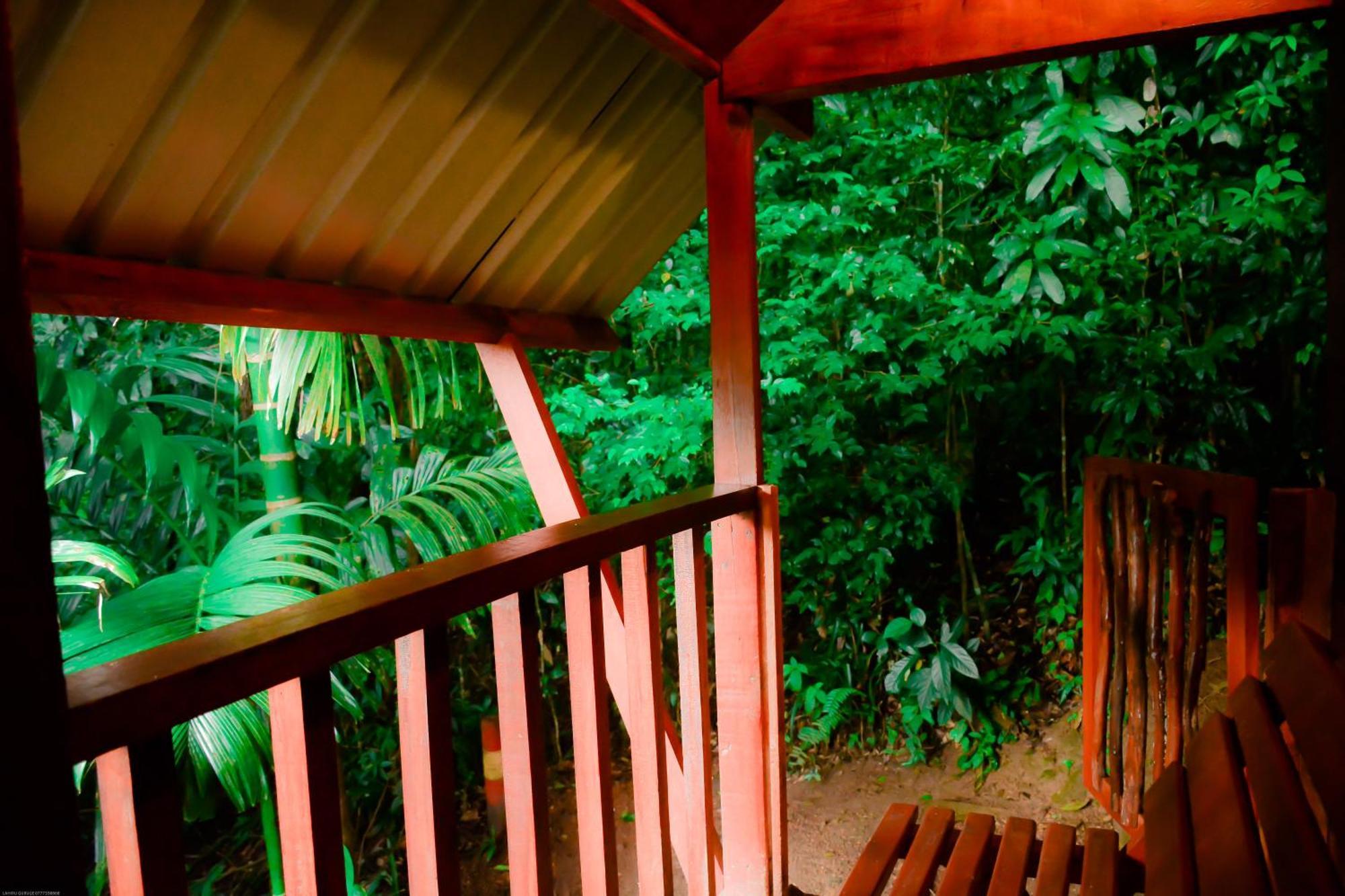 Sinharaja Forest Gate Deniyaya Extérieur photo